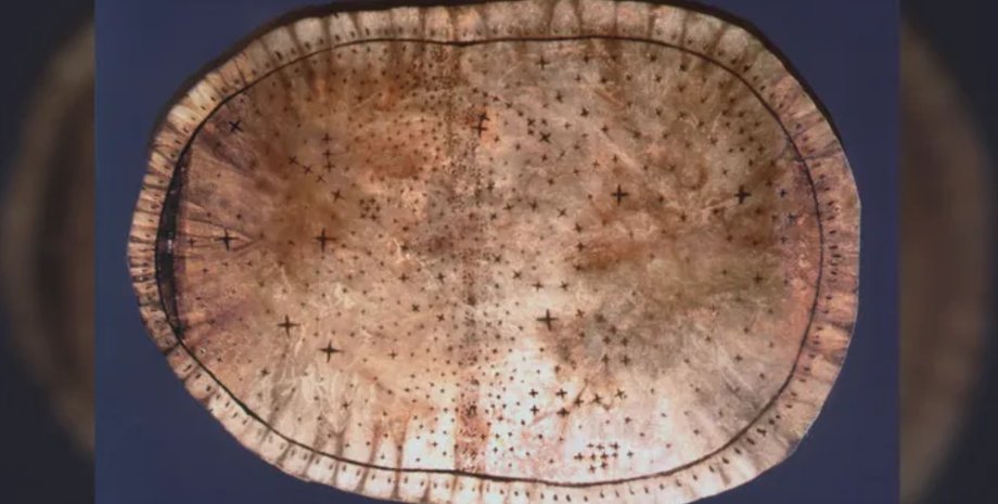 зоряна карта