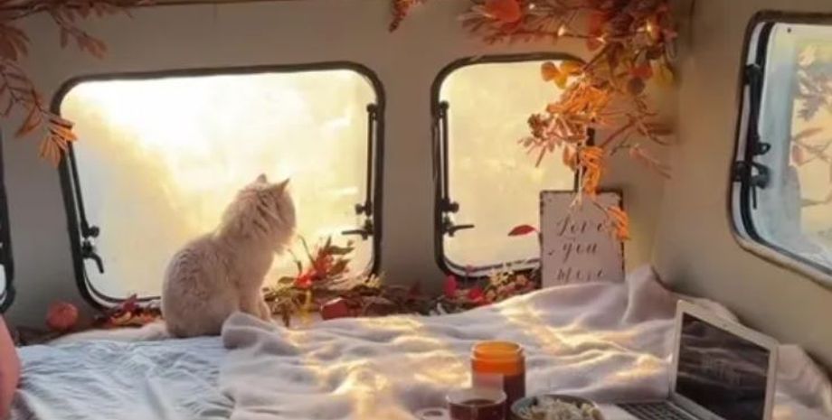 Ремонт до та після, TikTok, цікавий дизайн, житло, фургон, будинок на колесах, цікаві історії, нерухомість