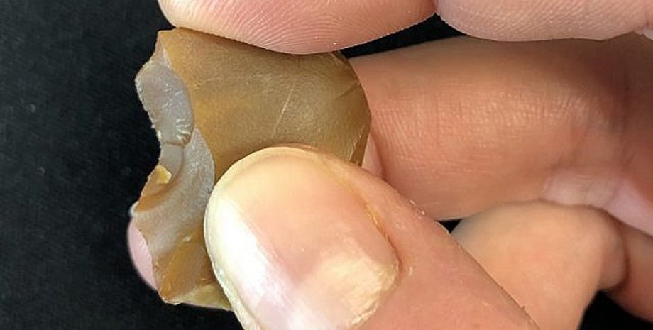 Dr. Flavia Venditti and Prof. Ran Barkai/Tel Aviv University