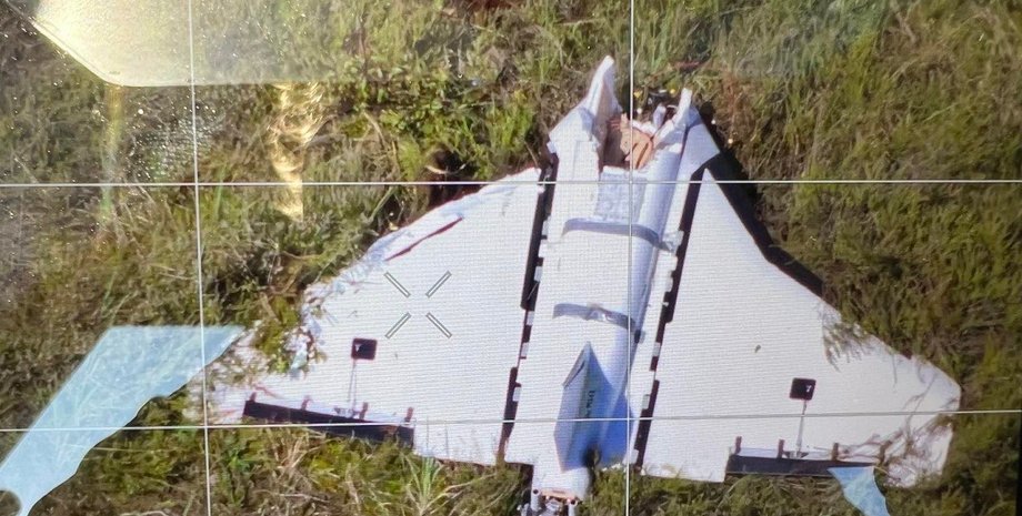 дрон гербера разбился в литве