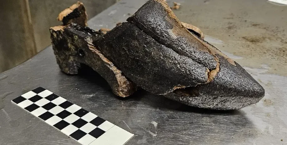 археологи, археологія, розкопки, історія, вигрібна яма, капсула часу, Нідерланди, взуття, дерево, артефакти, знахідка