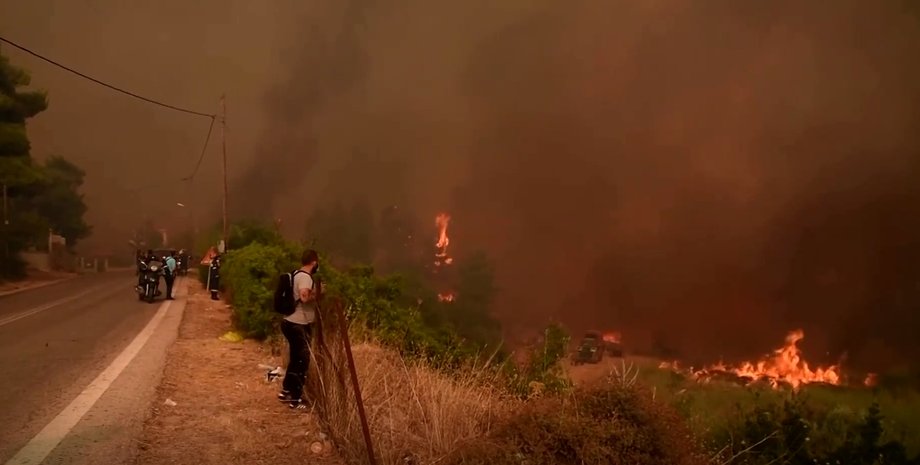 лесные пожары дым