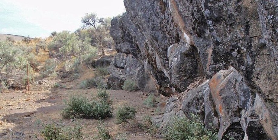 археология, находка, зуб, деятельность человека, Северная Америка, каменные орудия, вулканический пепел, фрагменты зубов, радиоуглеродное датирование, археологические находки, культура Кловис, раскопки, исследования, археологи