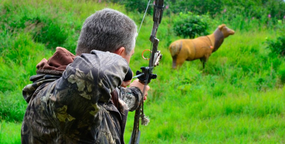 Фото: vestikavkaza.ru