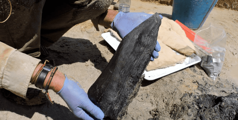 Клин из древнего дерева, найденный как часть сооружения, сделанного первобытными людьми каменного века в Замбии сооружение, дерево, река, люди, инструменты, конструкция, наводнение, артефакт, открытие, археологи, каменный век, песок, минералы, анализ, исследования, история