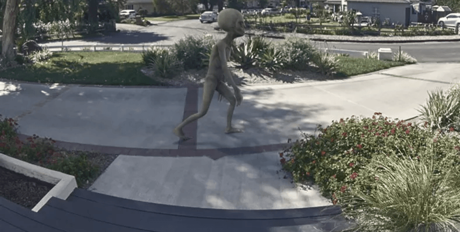 Пришелец, Ring, домофон, видеозапись, скрытая камера, инопланетянин, необычный конкурс, НЛО, внеземная жизнь