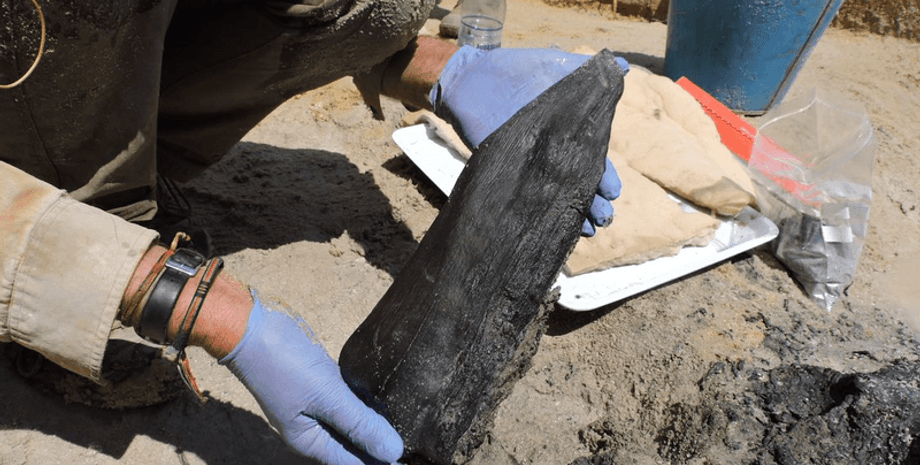 споруда, дерево, річка, люди, інструменти, конструкція, повінь, артефакт, відкриття, археологи, кам’яний вік, пісок, мінерали, аналіз, дослідження, історія