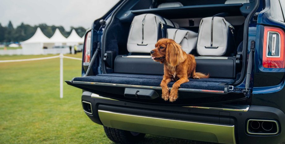 Rolls-Royce, Bentley, Авто, Автомобили, США, Юмор, Собаки, Патенты, Торговая марка, Фото