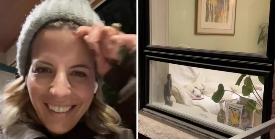 собака пудель