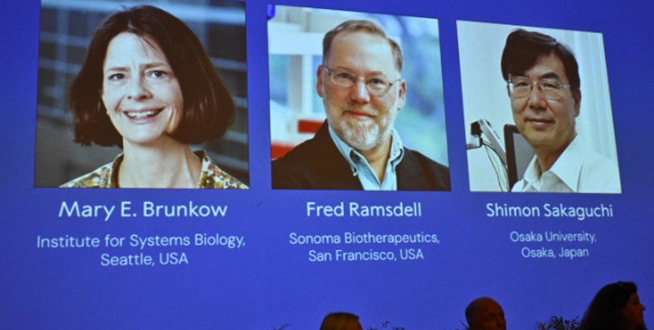 Разделили Нобелевскую премию по физиологии и медицине