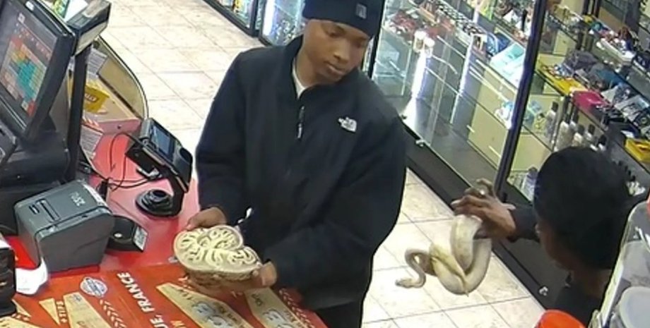 питоны, АЗС, заправка