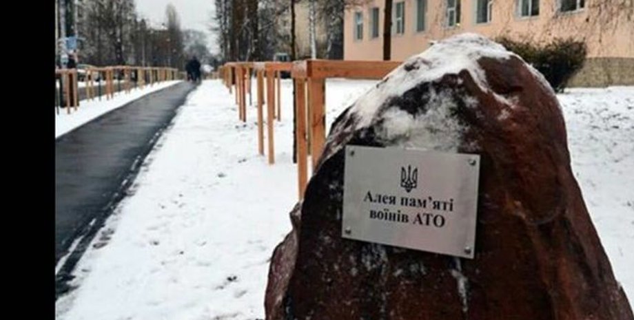 Фото: Киевзеленстрой