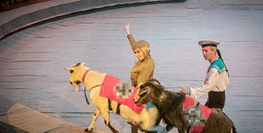 свастика, животные, цирк, удмуртия, россия