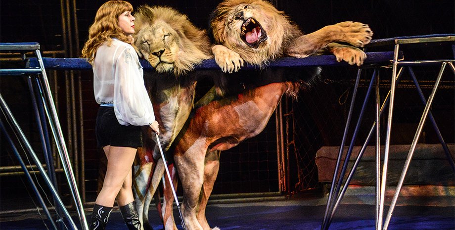 Фото: Getty Images, УНИАН