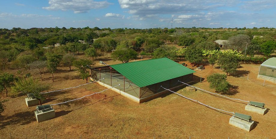 комарі, тестування, запах, пастка