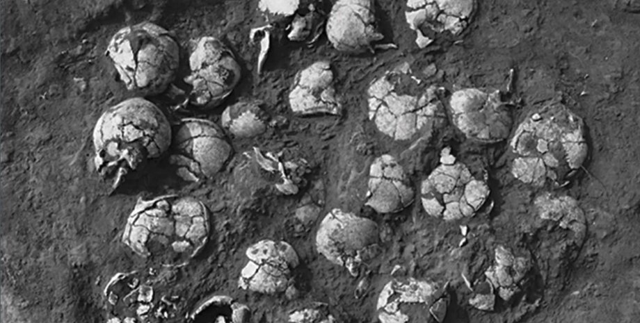 Одна из жертвенных ям с человеческими черепами. Фото: Zhouyong Sun and Jing Shao