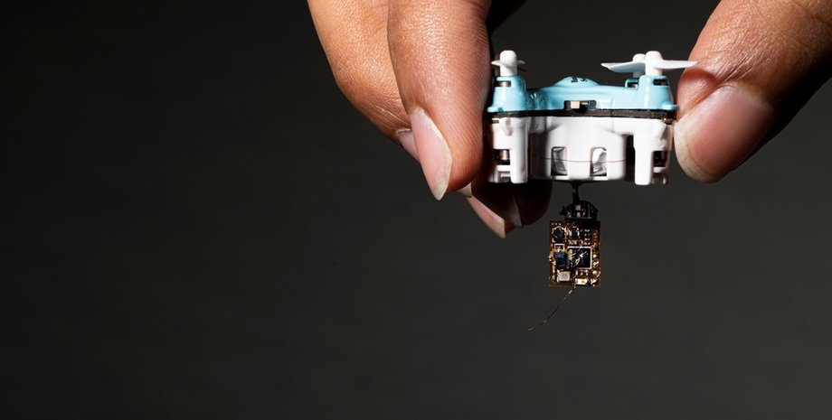 Фото: Mark Stone/University of Washington