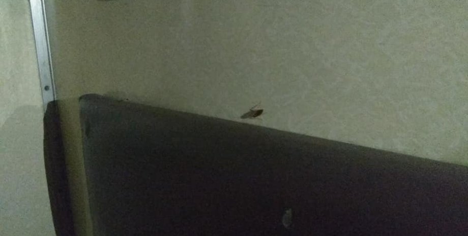 Фото: facebook.com/helen.semenova