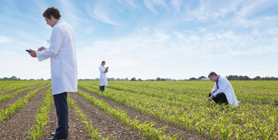 Фото: Martin Barraud/Getty Images