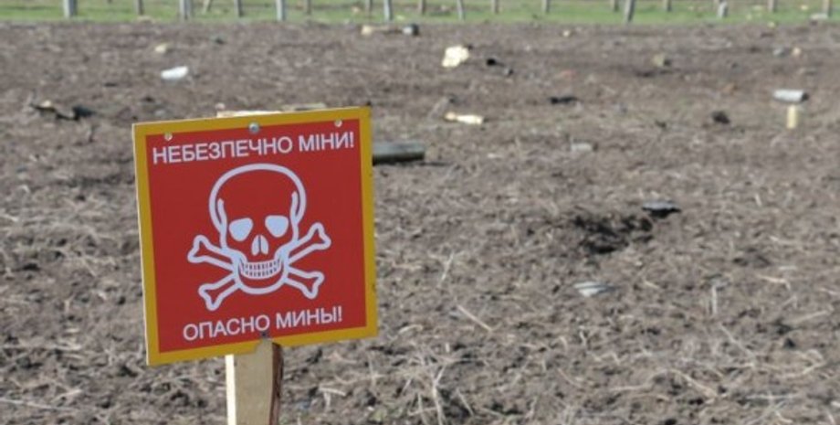 Фото из открытых источников