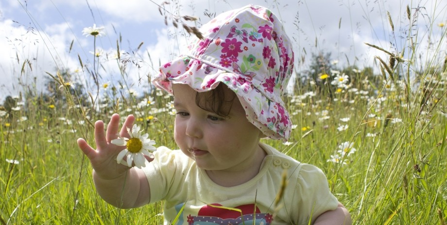 Девочка в панамке Девочка, ребенко, панама, лето, ромашки