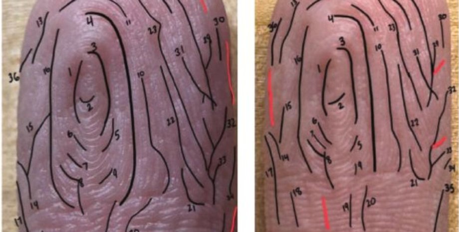 морщины, пальцы, вода