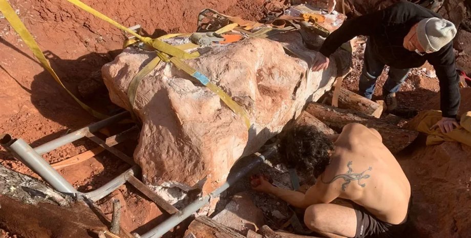 динозавр, титанозавр, окаменелость титанозавра