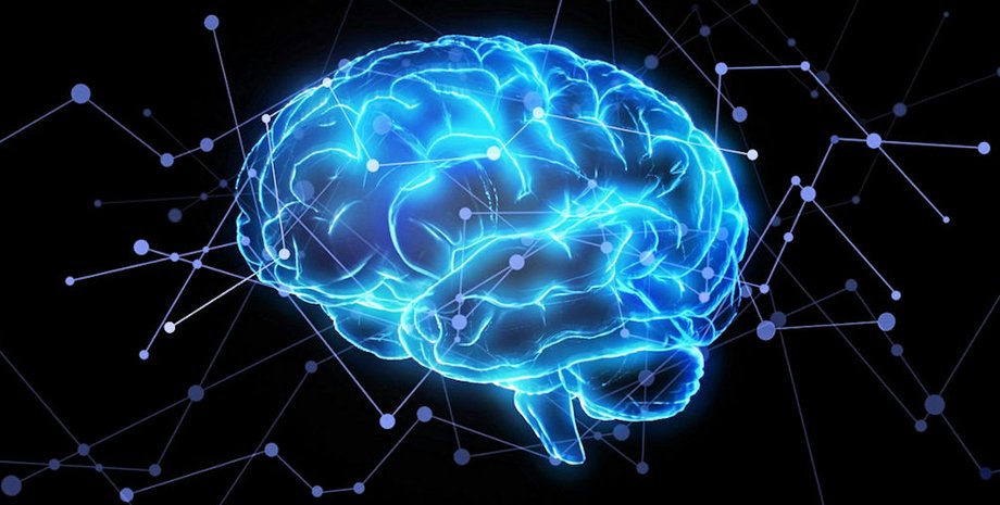 память, мозг, человек, фото