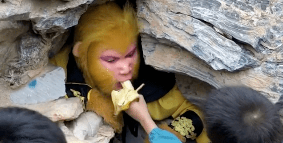 король обезьян