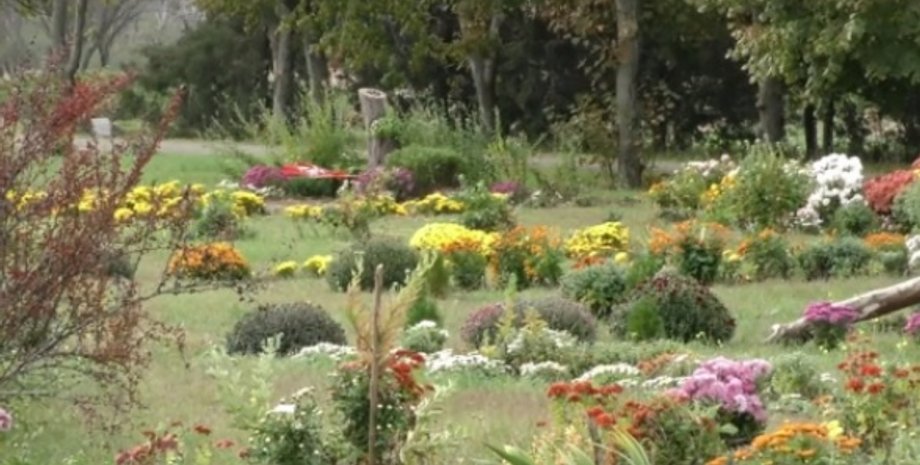 Фото: khersonline.net