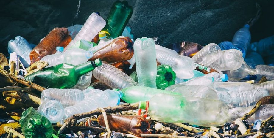 Фото: Nature News