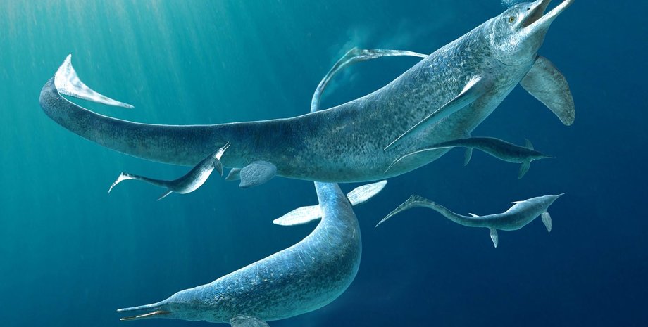 Besanosaurus, ихтиозавр, фото, морской хищник