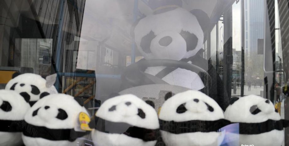 Фото: China News Service/Zhang Lang