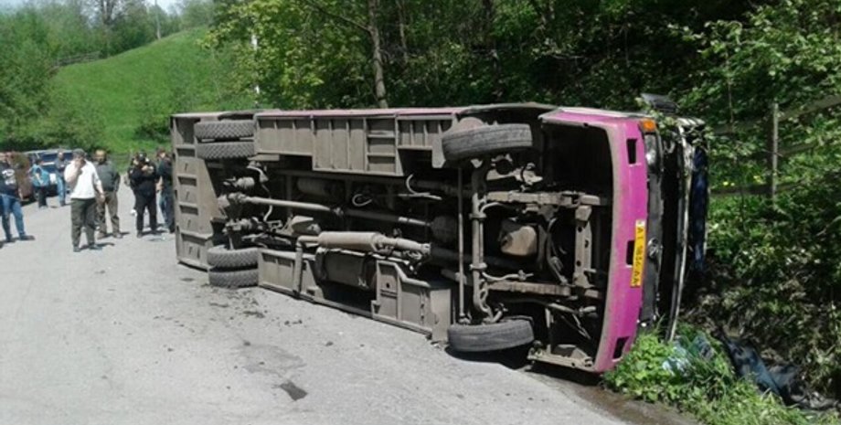 Фото: Закарпатская ОГА