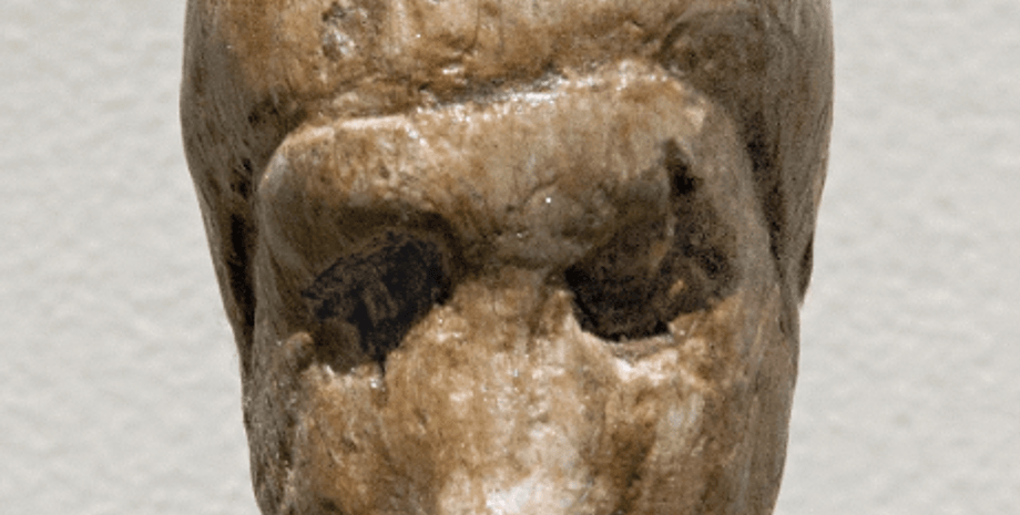 Чешская Республика, палеолит, артефакт, мамонтовая кость, керамика, находка, фигурка, Вестоницкая Венера, поселение, Дольни Вестонице, череп,