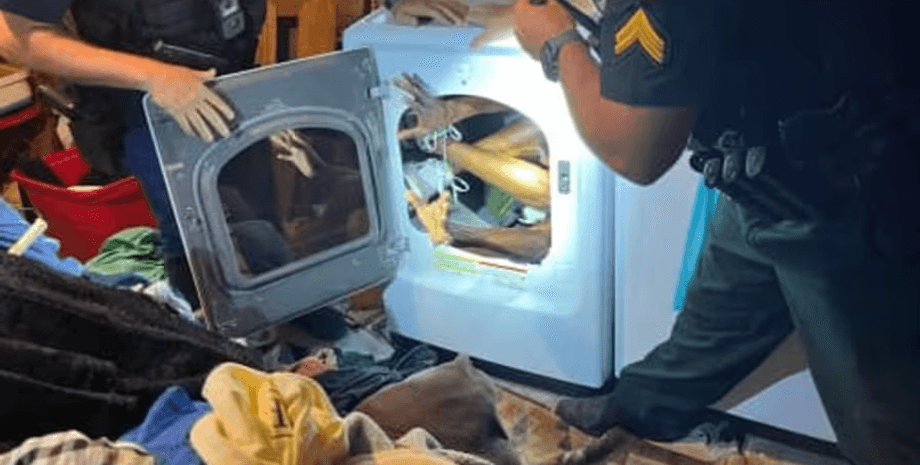 Преступник прятался в стиральной машине, стиральная машина, сложился пополам, мужчина прятался от полиции, ордер на обыск