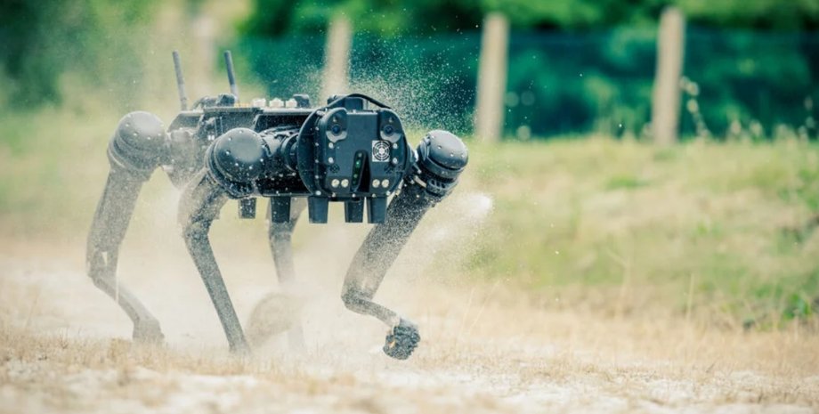 V60 Quadruped, робопес, собака робот