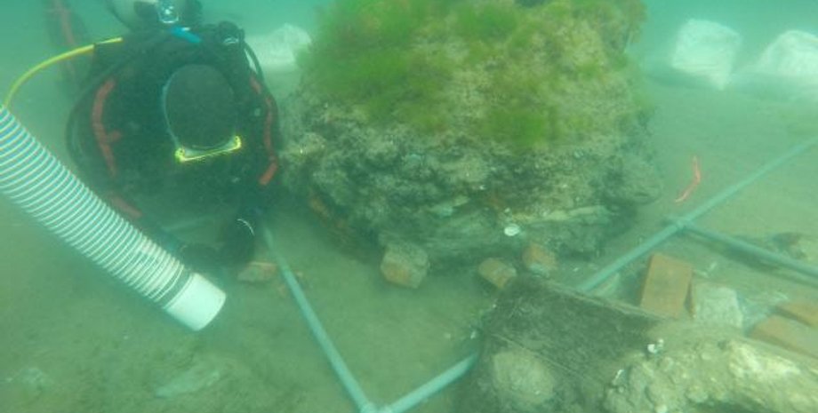 дайвер, древесина, вода, фото