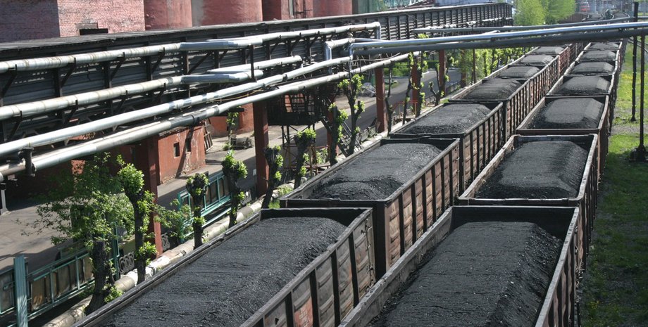 Фото: открытые источники