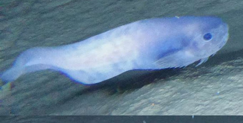 Фото Newcastle University