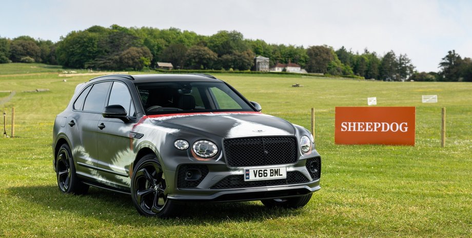 Bentley, Bentley Bentayga, Собаки, Кроссоверы, Фестиваль, Британия, Фото, Авто, Автомобили, Дизайн