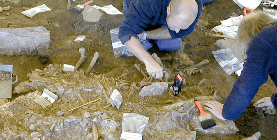 археологи, Скандинавія, історія, смерть, чума, фермери, неоліт, інфекція, бактерія, епідемія, дослідження, ДНК, Європа, Азія, збудник, клімат, занепад