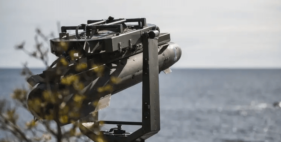 Brave1 , кластер, виробники зброї, виробництво, зброя, тестування, поле бою, війна в україні