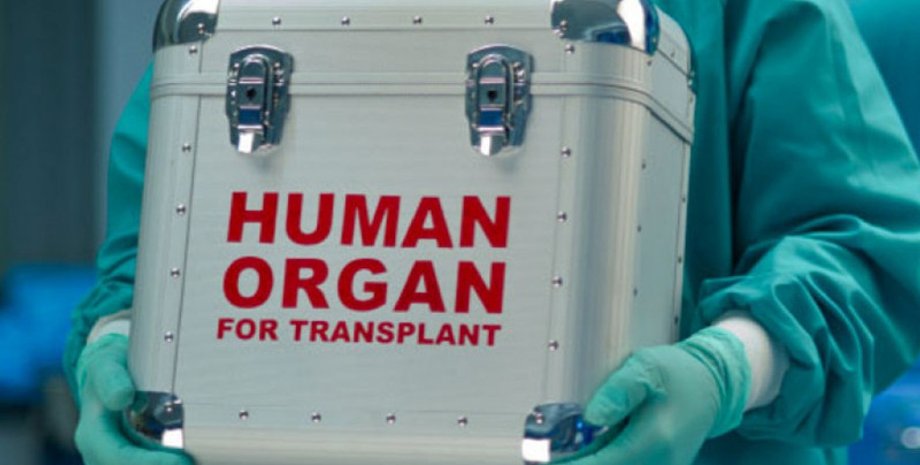 Фото: kowel.rayon.in.ua