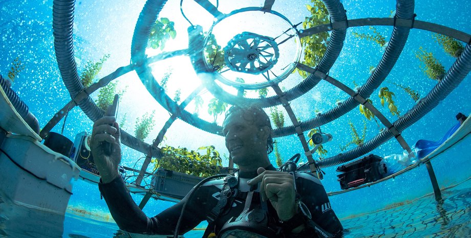 подводный сад, сад немо