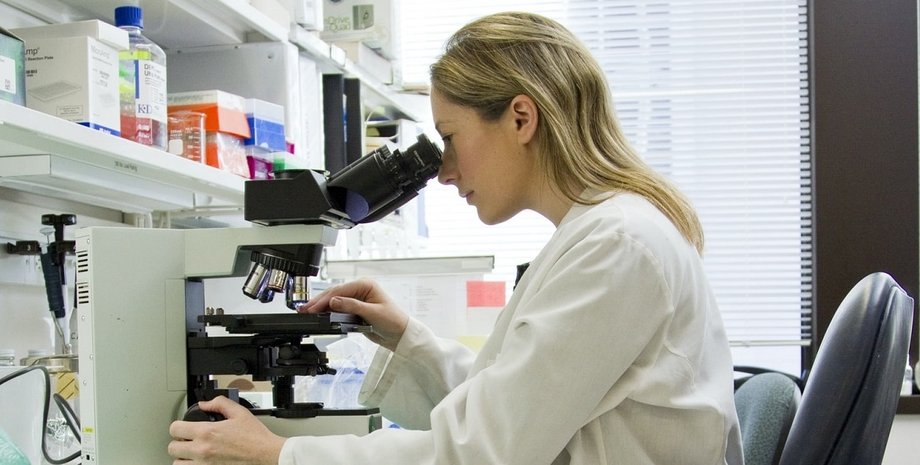 Фото:  unsplash.com