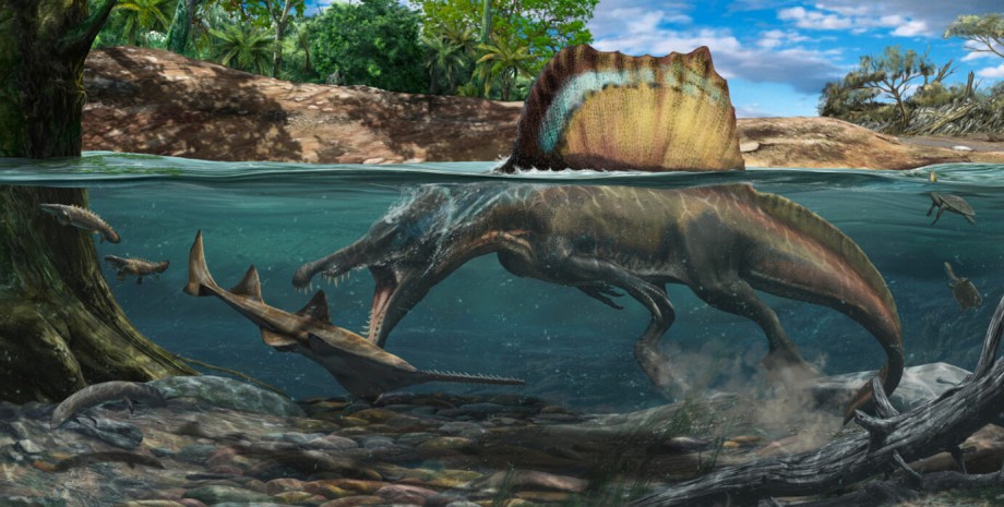 Спінозавр, полювання, вода, динозавр, кістка, щільність