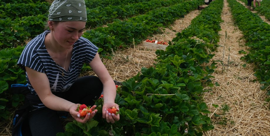Трудовая миграция, возвращение украинцев, демографический кризис