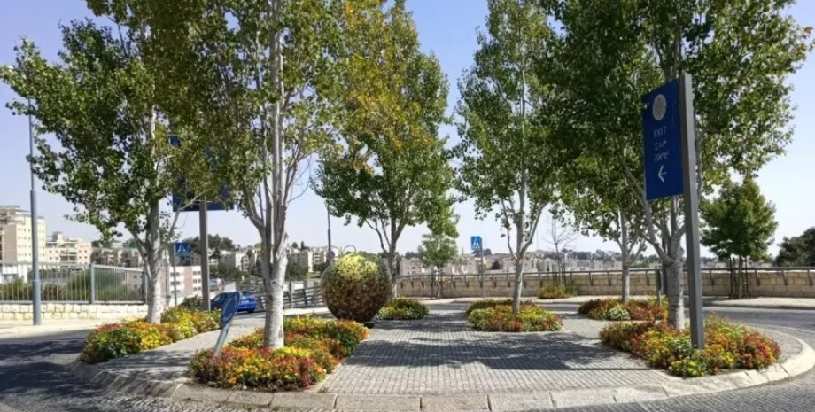 Будущая площадь Трампа / Фото: Erez Shani / The Jerusalem Post