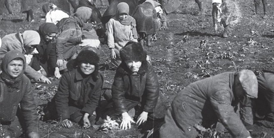 Иллюстративное фото: foto.ua